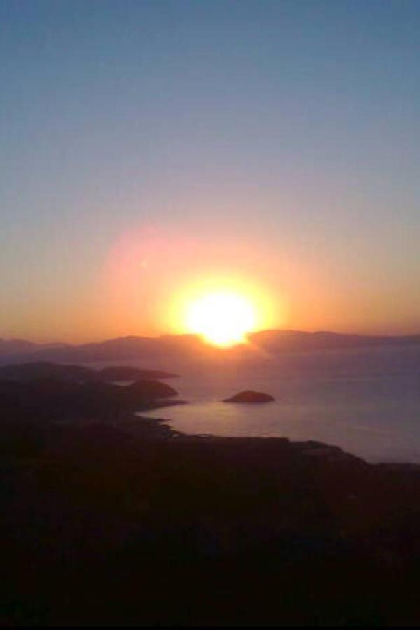 Palmar Club - Aphrodite