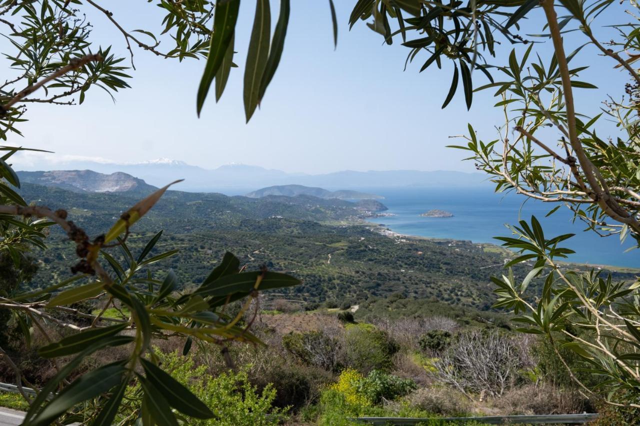Palmar Club - Aphrodite Ferienhaus *