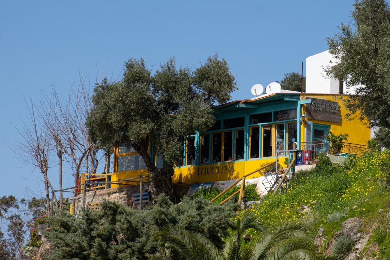 Palmar Club - Aphrodite * Mirsini (Crete)